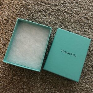 Tiffany & Co. Turquoise Gift Box
